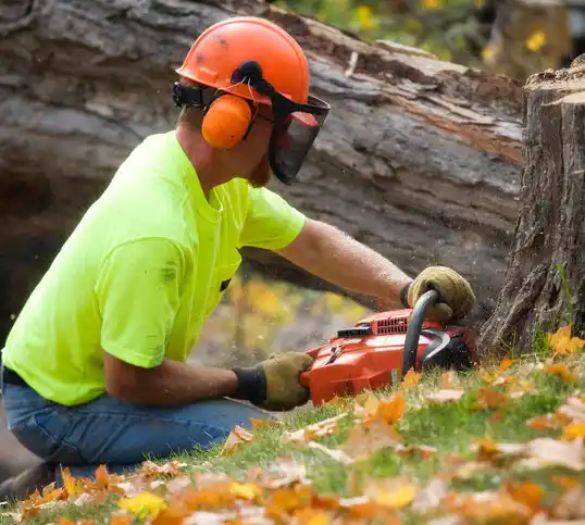 tree services Nanuet